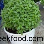 basil