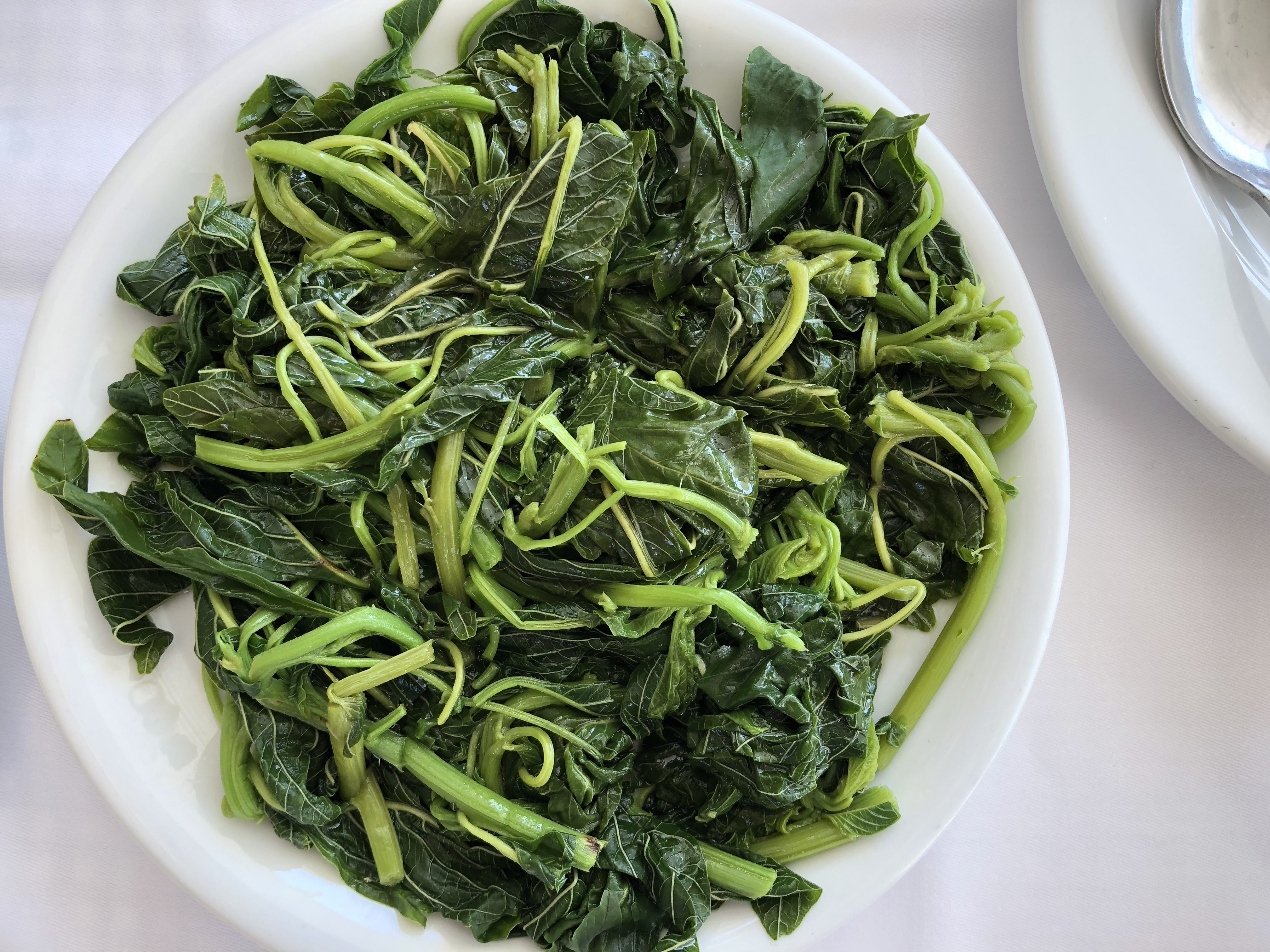 Horta